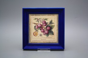 Obrázek 19,5x19,5cm Fruta cMOB