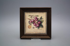 Obrázek 19,5x19,5cm Fruta cTHB