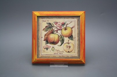 Obrázek 18x18cm Fruta kCMB č.1