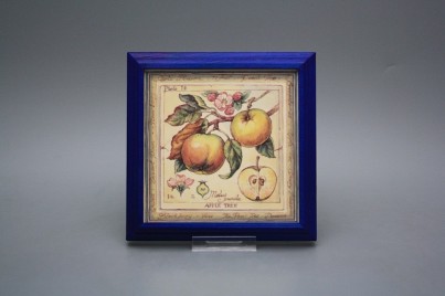 Obrázek 18x18cm Fruta kMOB č.1