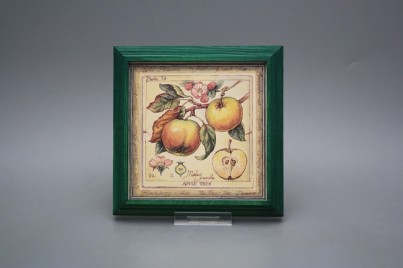 Obrázek 18x18cm Fruta kZLB č.1