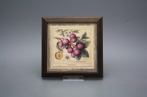Obrázek 18x18cm Fruta kTHB