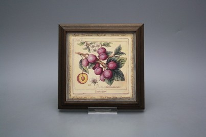 Obrázek 18x18cm Fruta kTHB č.1