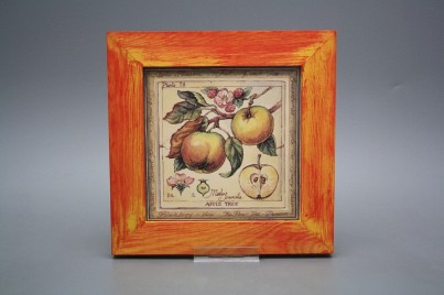 Obrázek 20x20cm Fruta eCMB č.1