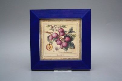 Obrázek 20x20cm Fruta eMOB č.1
