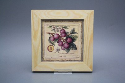 Obrázek 20x20cm Fruta ePBB č.1